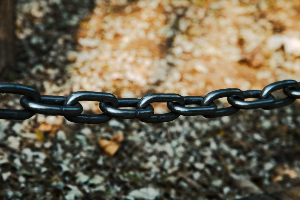 What actually happened when we stopped chasing fancy links and just did one structured directory + internal link pass